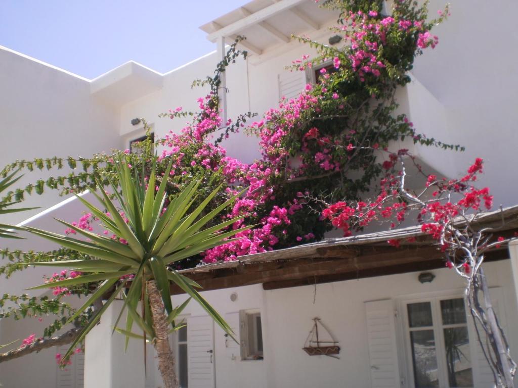 Paros Rita Studios Píszo Livádi Kültér fotó